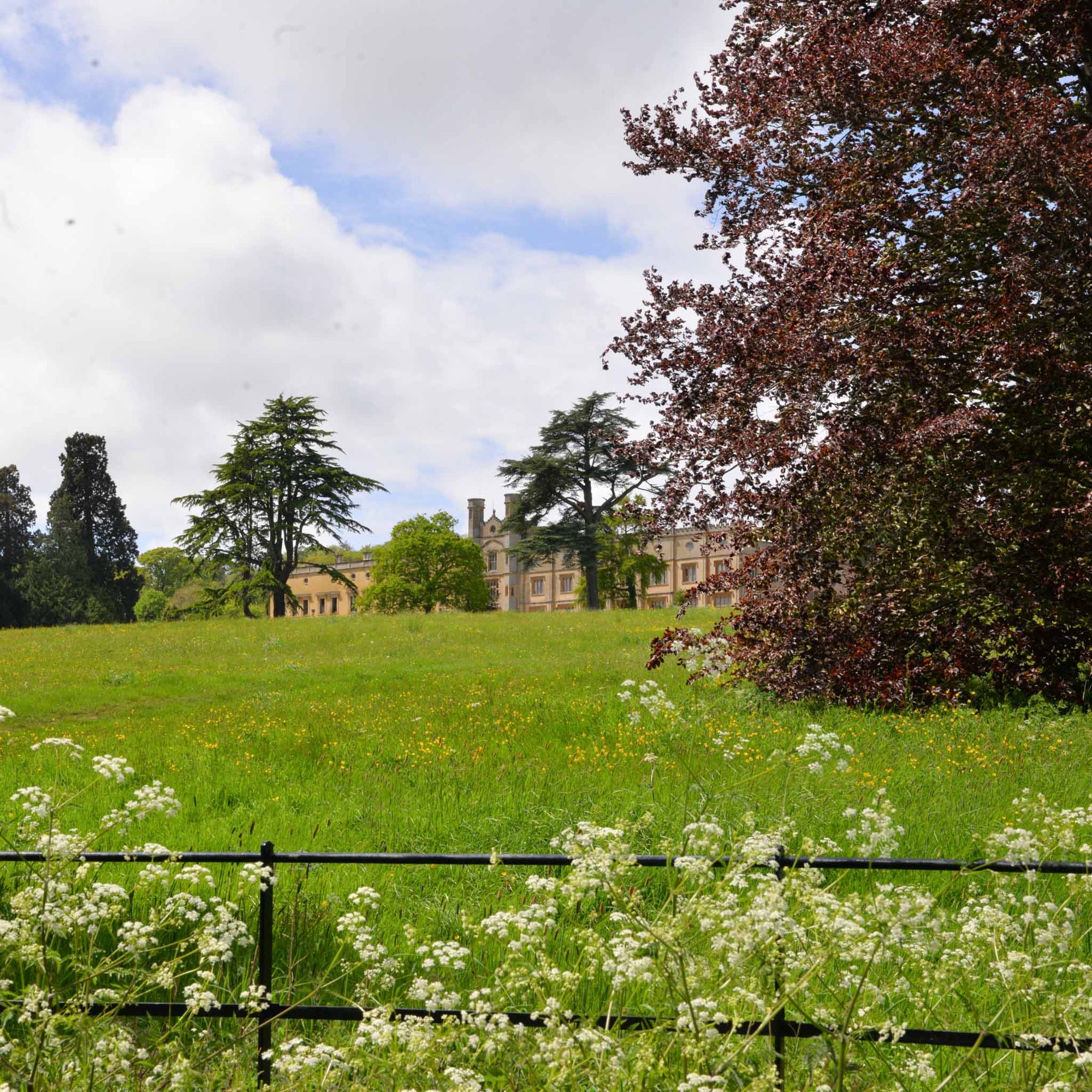 Discover Hidden Gems in Bristol With Our Locals Guide