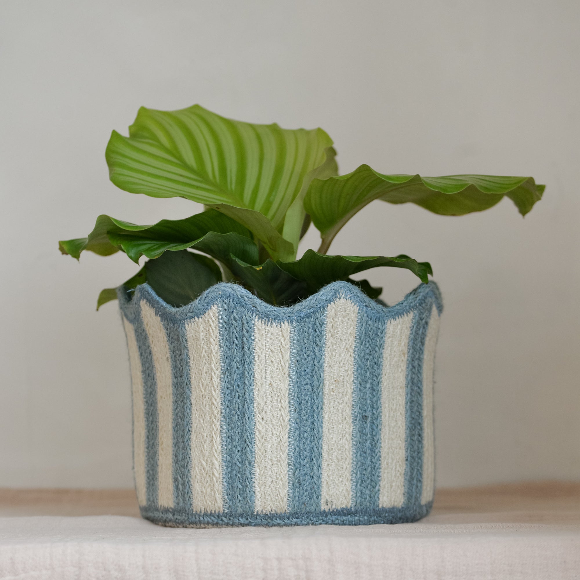 braided-rug-company-tulip-scallop-basket