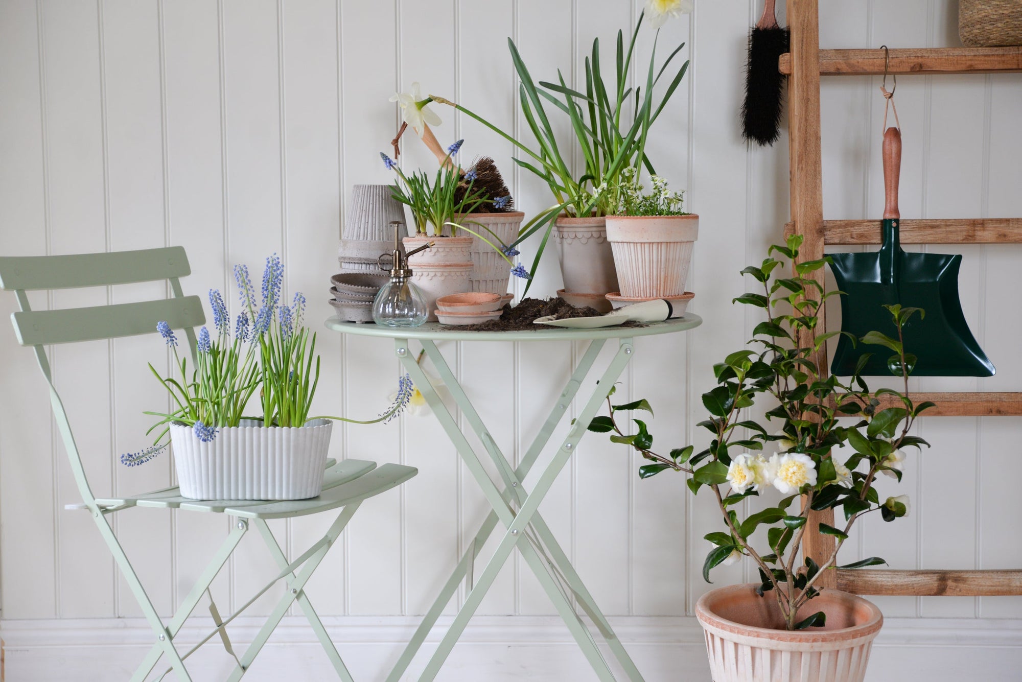 Spring Gardening Essentials