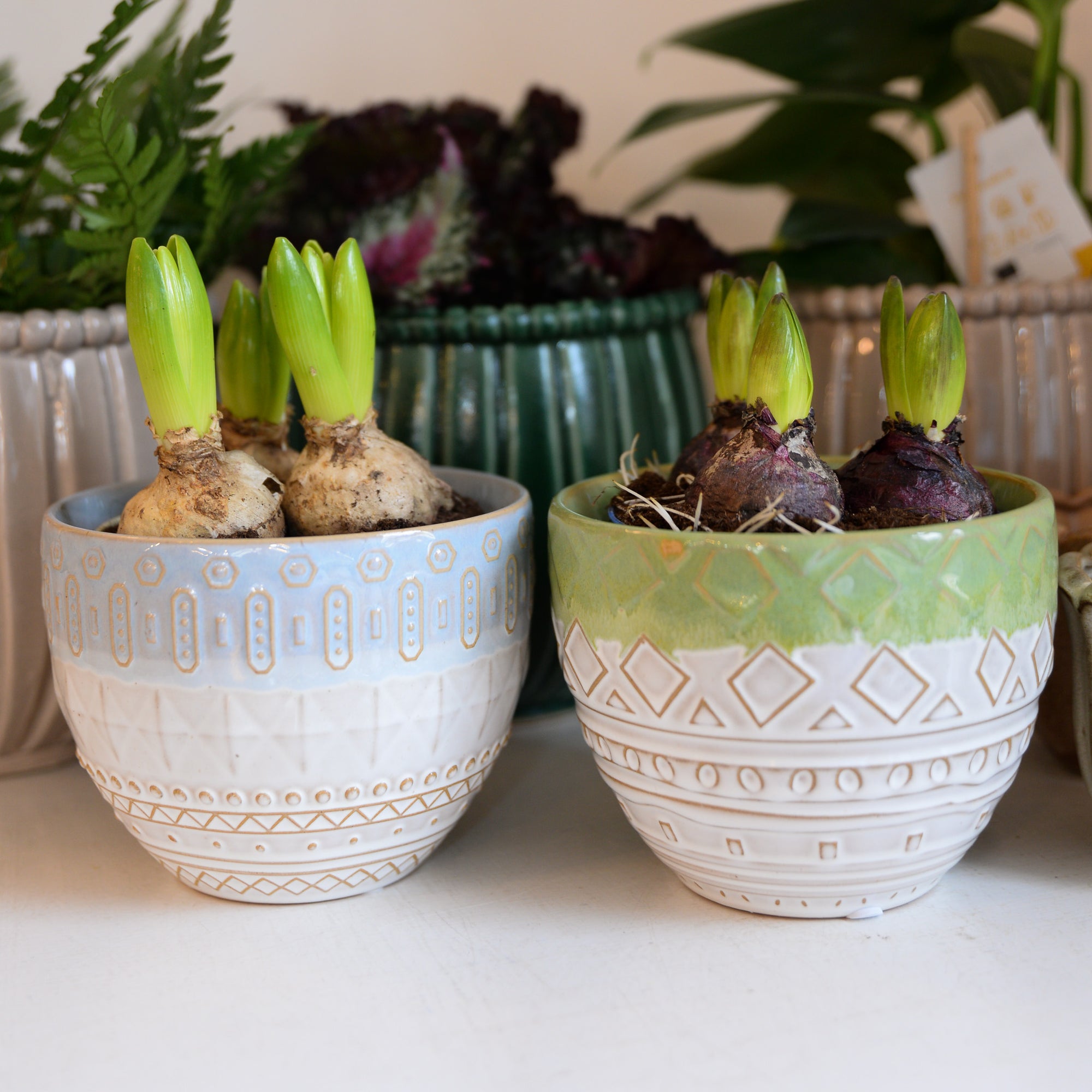 Plant Pots Mon Pote