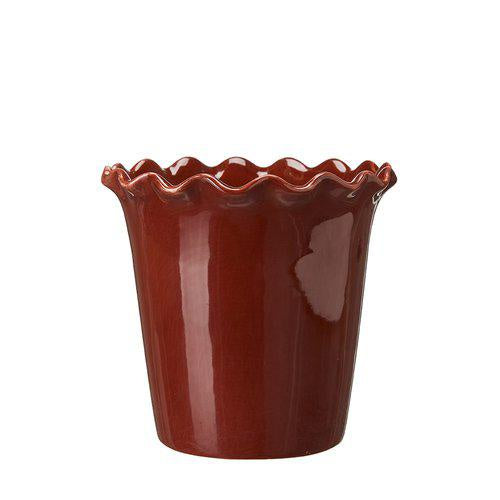 Burgandy Vanda Orchid Plant Pot