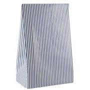 Paper Gift Bag / Blue Stripe