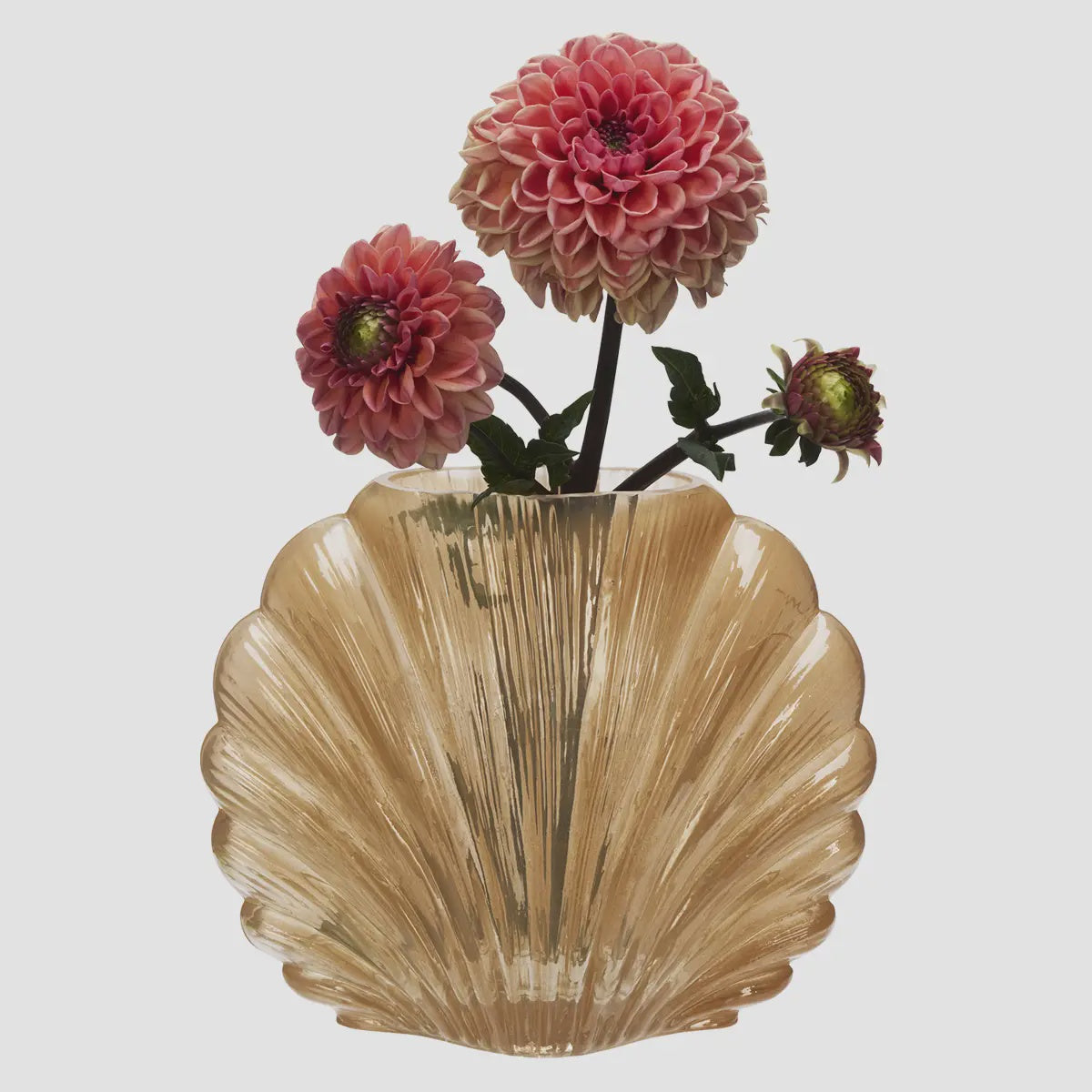 Shell Glass Vase / Peach