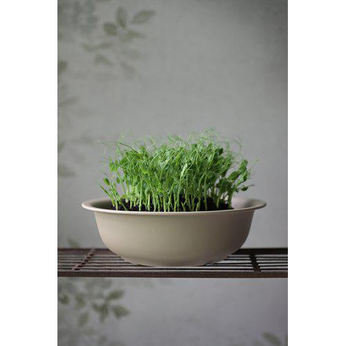 April Iron Planter