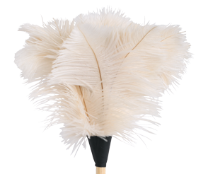 Ostrich Feather Duster