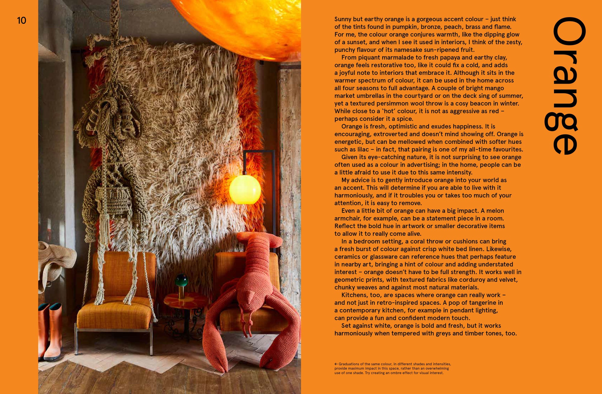 Vivid: Style In Colour by Julia Green &amp; Armelle Habib