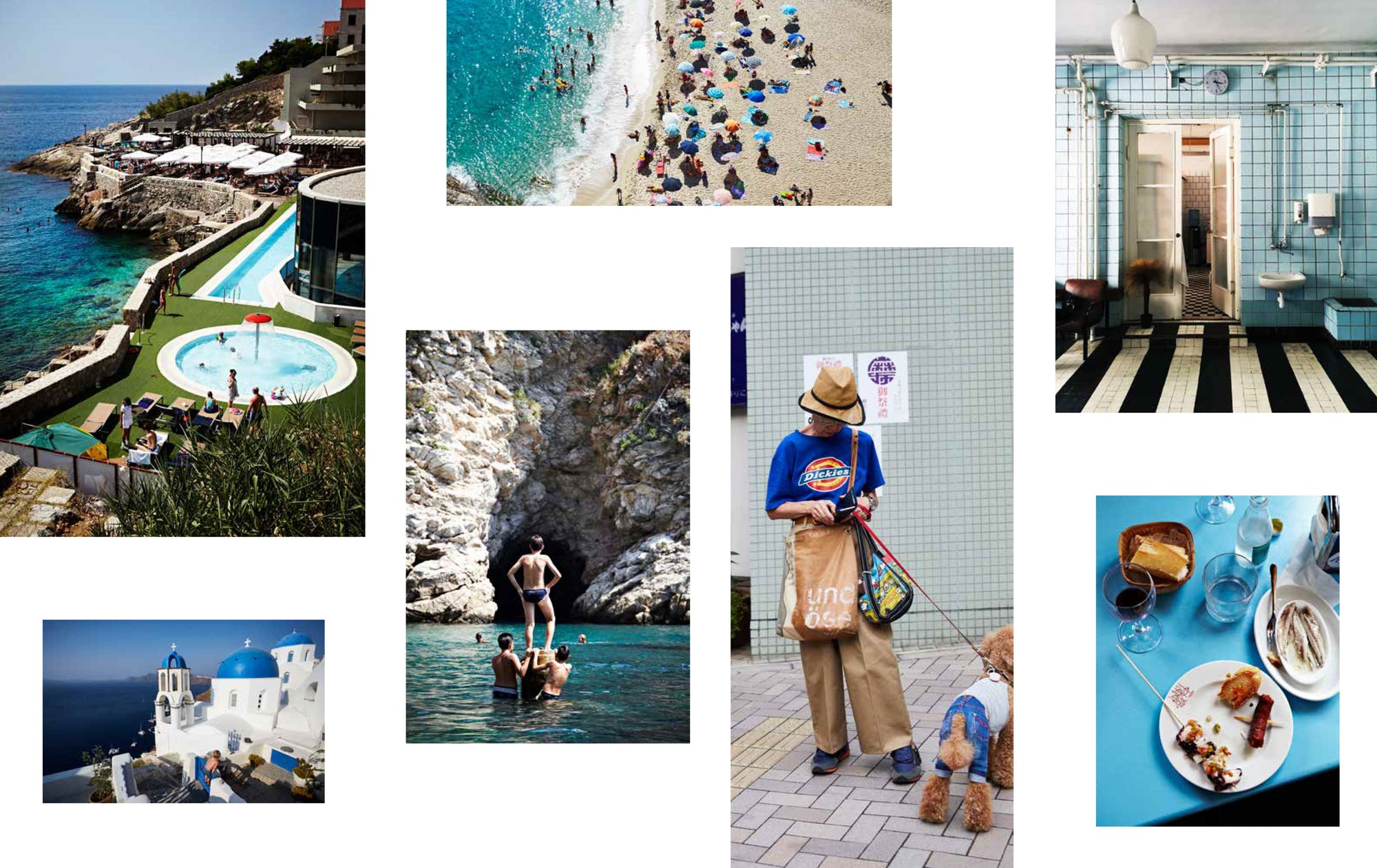 Vivid: Style In Colour by Julia Green &amp; Armelle Habib