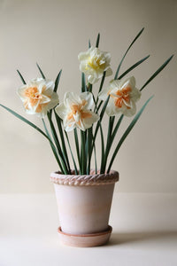 Emilia Raw Rosa Plant Pot / Sizes
