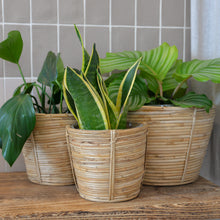 Load image into Gallery viewer, Rattan Plant Pots