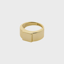 Load image into Gallery viewer, Friends Chunky Ring in Gold