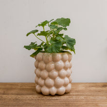 Load image into Gallery viewer, Carna Plant Pot / Colours