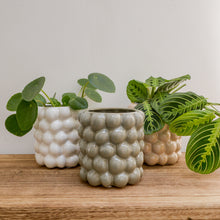 Load image into Gallery viewer, Carna Plant Pot / Colours
