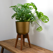 Load image into Gallery viewer, Nordal Brass Planter on Wooden Stand