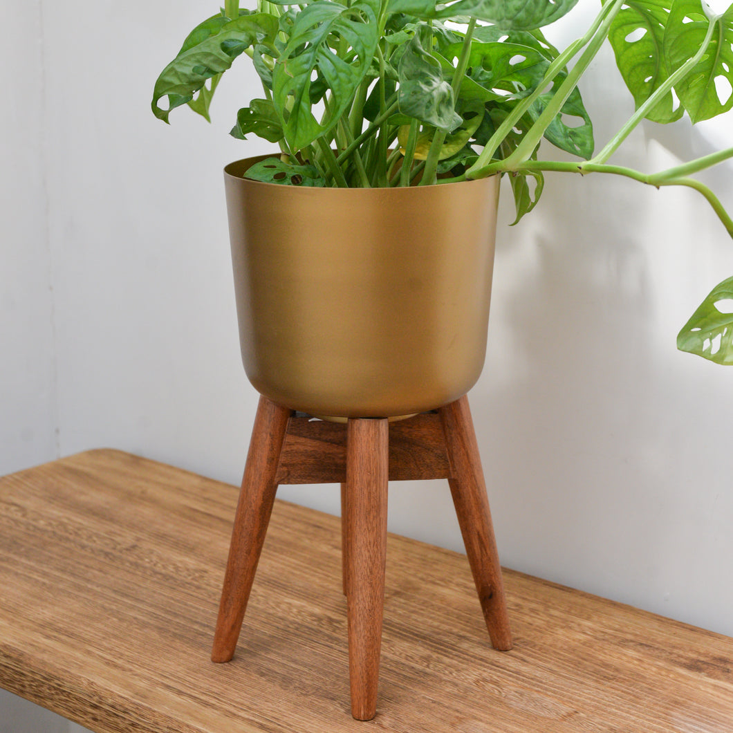 Nordal Brass Planter on Wooden Stand