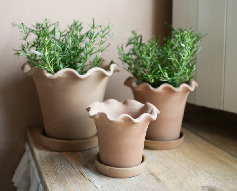 The Frilly Plant Pot / Sizes