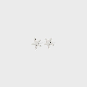 Andre Star Stud Earrings / Silver