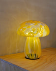 Mushy Portable LED Lamp / Pink Orange