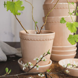 Helena Glazed Rose Plant Pot