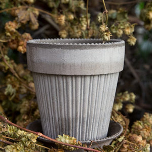 Simona Raw Grey Plant Pot 12cm