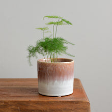Load image into Gallery viewer, Aia Plant Pot / Rose