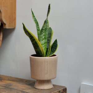 Nature Textured Flowerpot on Stand