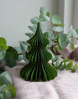 Honeycomb Tree Noble / Forest