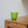 Duralex Drinking Glass / Green