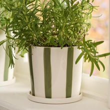 Load image into Gallery viewer, Palermo Green Striped Planter with Saucer / Sizes