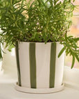 Palermo Green Striped Planter with Saucer / Sizes