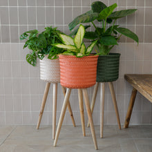 Load image into Gallery viewer, Recycled Plastic Plant Stand / Terra Spice
