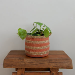 Seagrass Basket / Orange stripe