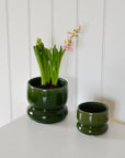 Firenze Green Stoneware Planter / Sizes