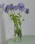Glass Water Jug