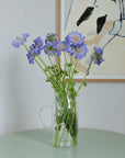Glass Water Jug