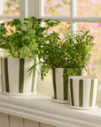 Palermo Green Striped Planter with Saucer / Sizes