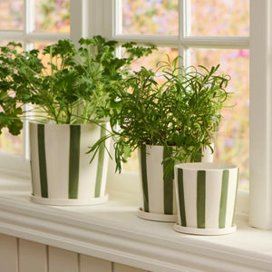 Palermo Green Striped Planter with Saucer / Sizes