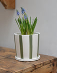 Palermo Green Striped Planter with Saucer / Sizes