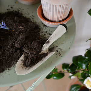 Planting Shovel in Cream