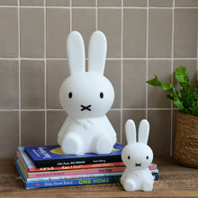 Load image into Gallery viewer, Miffy Bundle of Light