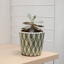 Load image into Gallery viewer, Cesar Verde Plant Pots