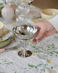 Stainless Steel Coupe