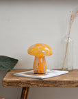 Mushy Portable LED Lamp / Pink Orange