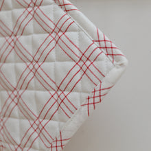 Load image into Gallery viewer, Check Pot Holder / Red