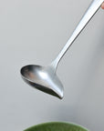 Stainless Steel Sauce Spoon