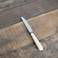 Load image into Gallery viewer, Ivory Stainless Steel Knife