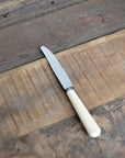 Ivory Stainless Steel Knife