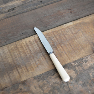 Ivory Stainless Steel Knife