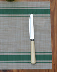 Ivory Stainless Steel Knife