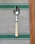 Ivory Stainless Steel Spoon