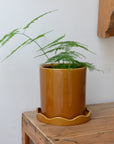 Plant Pot With Scalloped Saucer / Colours